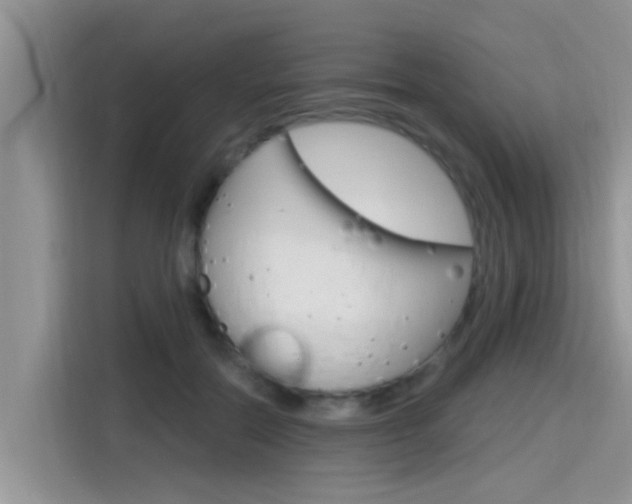X0000115610554200911100934