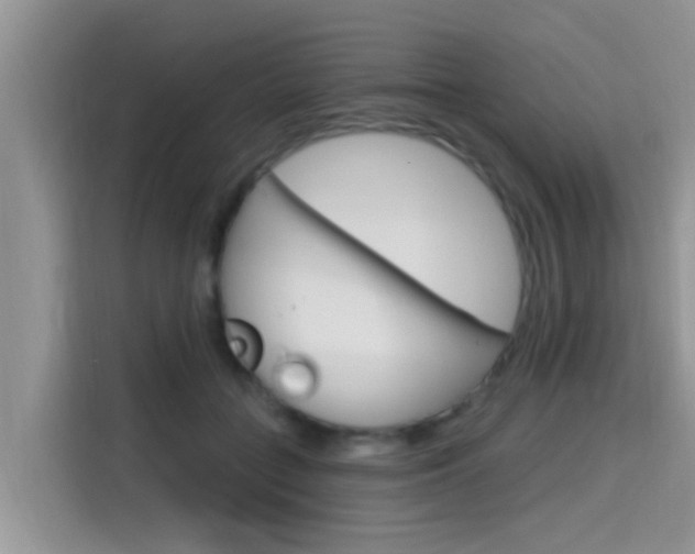 X0000115610555200911100934
