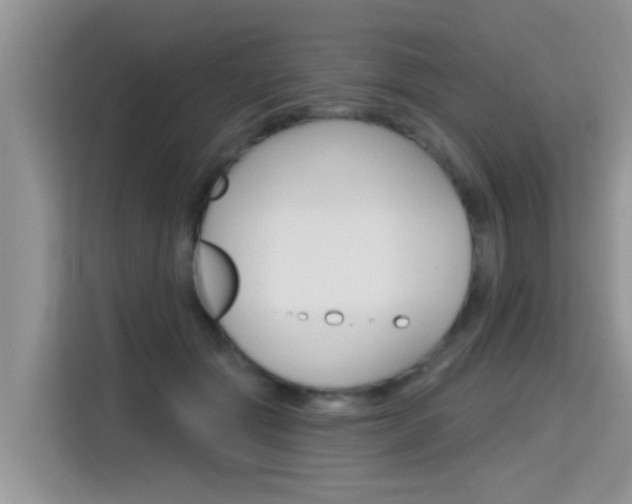 X0000115610557200911100934