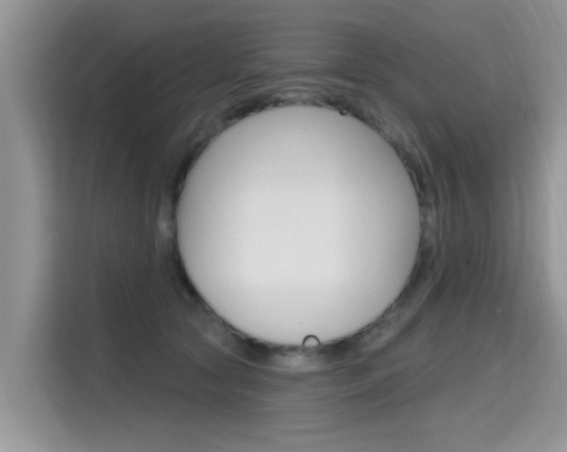 X0000115610561200911100934