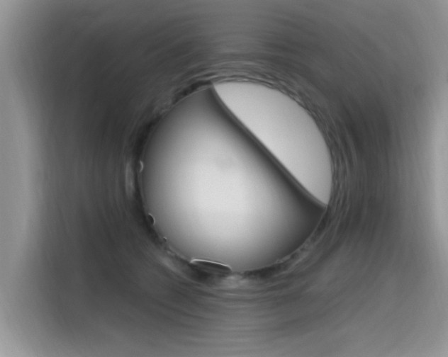 X0000115610562200911100934