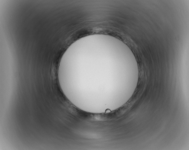X0000115610565200911100934
