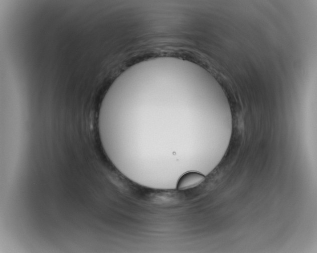 X0000115610567200911100934