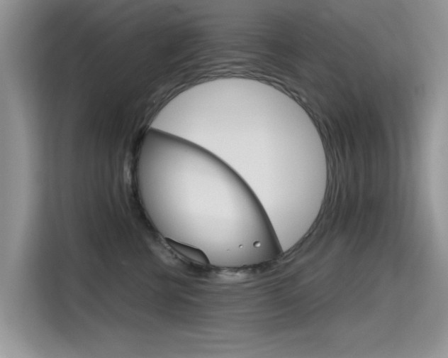 X0000115610570200911100934