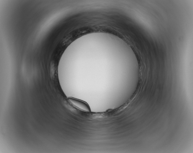 X0000115610574200911100934