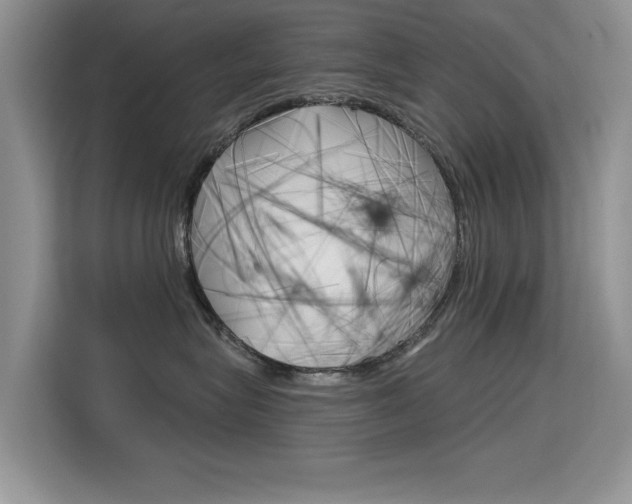 X0000115610575200911100934