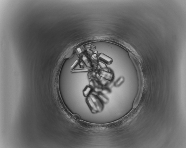 X0000115610577200911100933