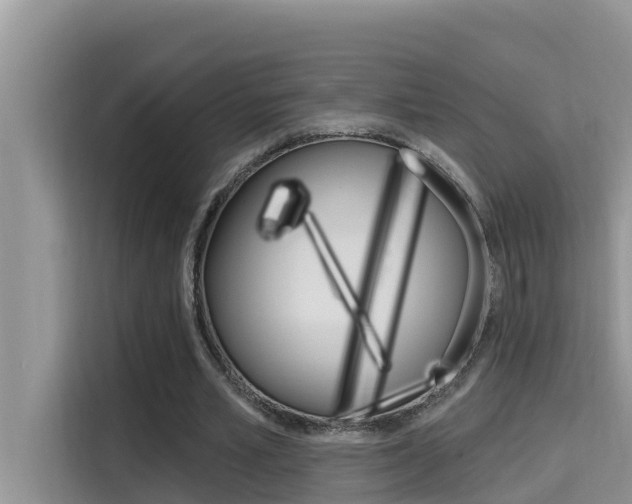 X0000115610581200911100933