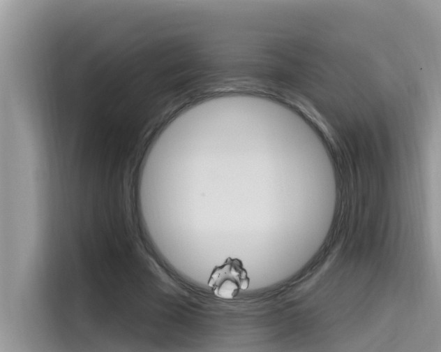 X0000115610585200911100933