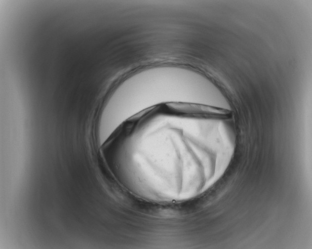 X0000115610592200911100933
