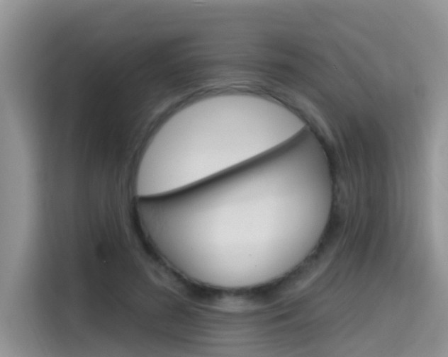 X0000115610596200911100933