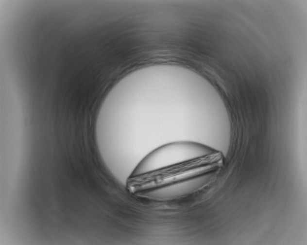 X0000115610597200911100933