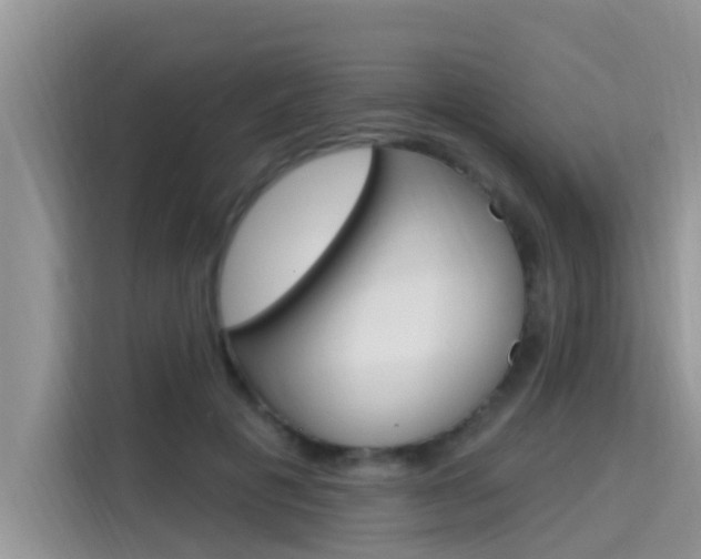 X0000115610601200911100933