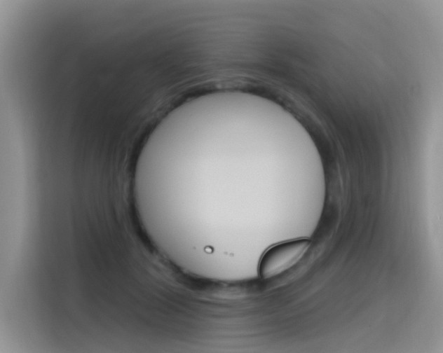 X0000115610604200911100933