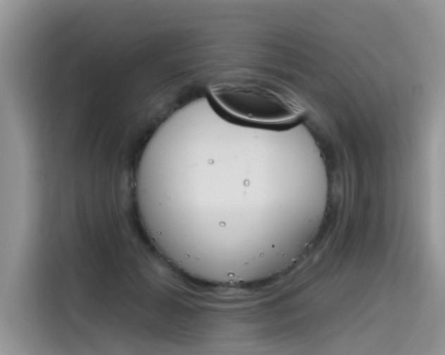 X0000115610605200911100933