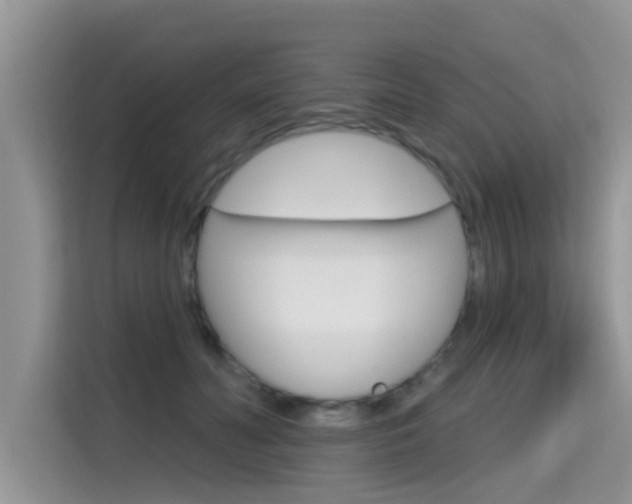 X0000115610606200911100933