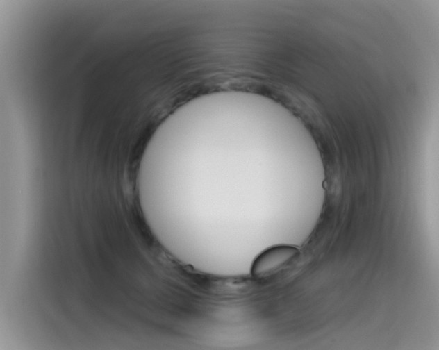 X0000115610607200911100933
