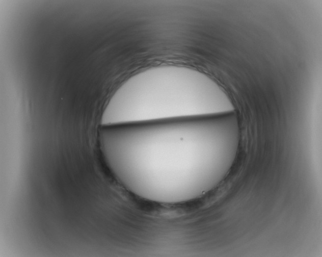 X0000115610608200911100933