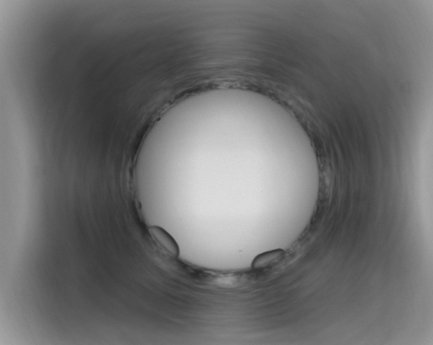 X0000115610611200911100933