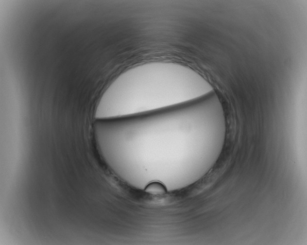 X0000115610612200911100933