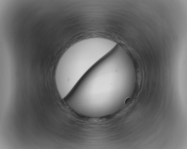 X0000115610613200911100933