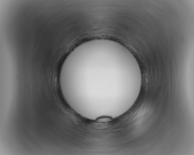 X0000115610615200911100933