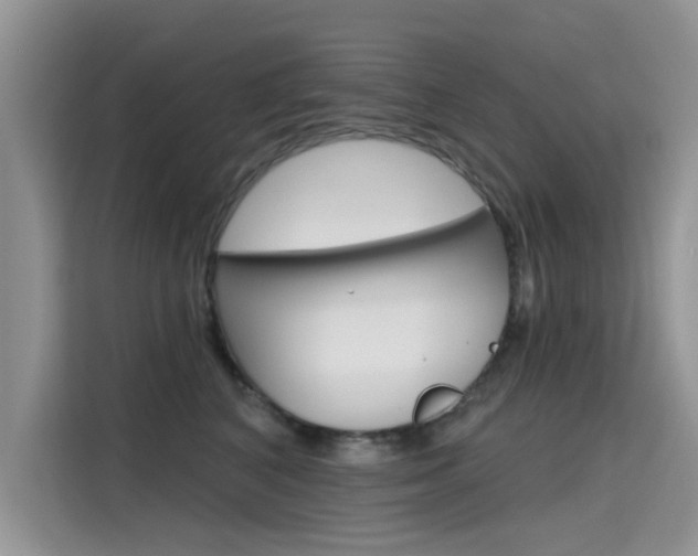 X0000115610616200911100933