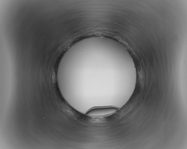 X0000115610617200911100933