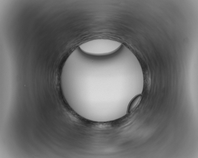 X0000115610619200911100933