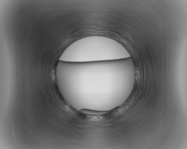 X0000115610621200911100933