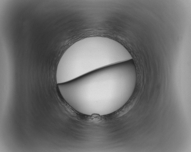 X0000115610624200911100933