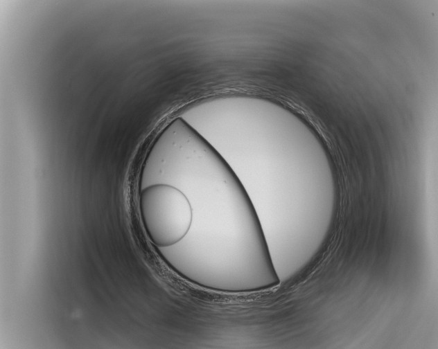 X0000115610626200911100932