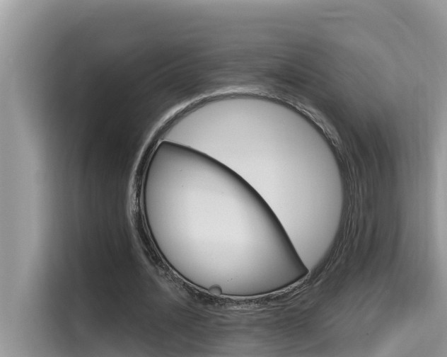 X0000115610628200911100932