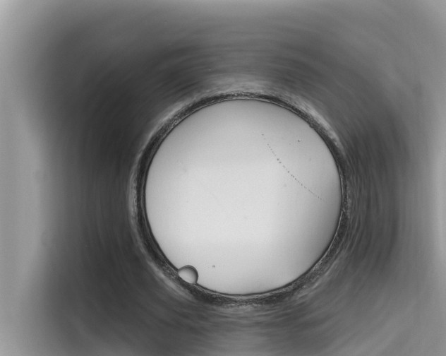 X0000115610629200911100932