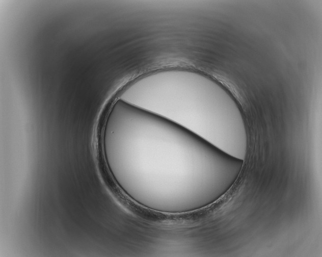 X0000115610630200911100932