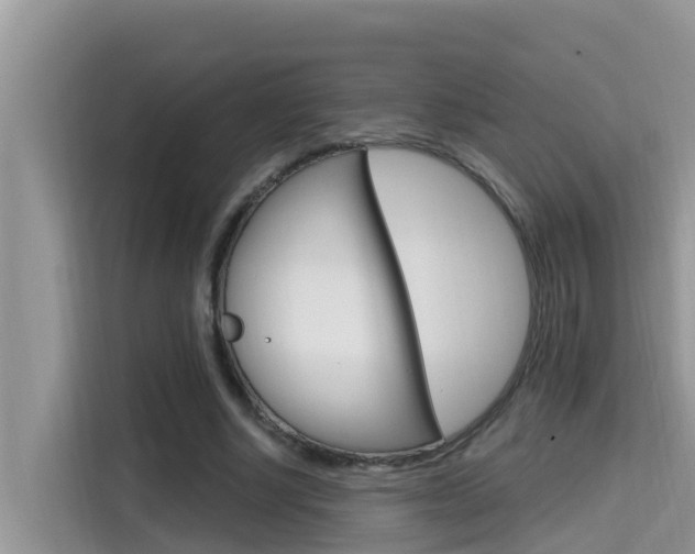 X0000115610634200911100932