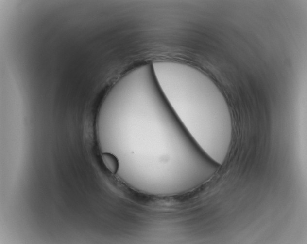 X0000115610642200911100932