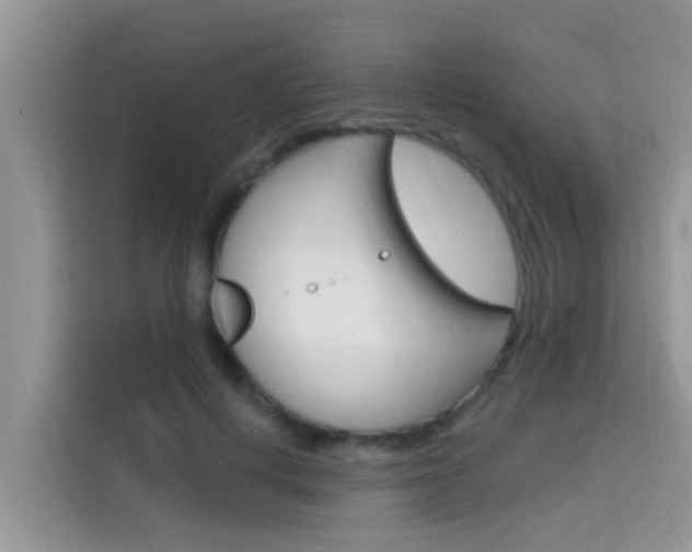 X0000115610648200911100932