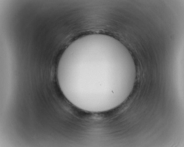 X0000115610656200911100933