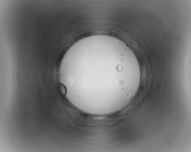 X0000115610659200911100933