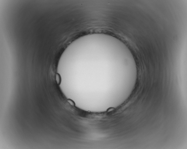X0000115610661200911100933