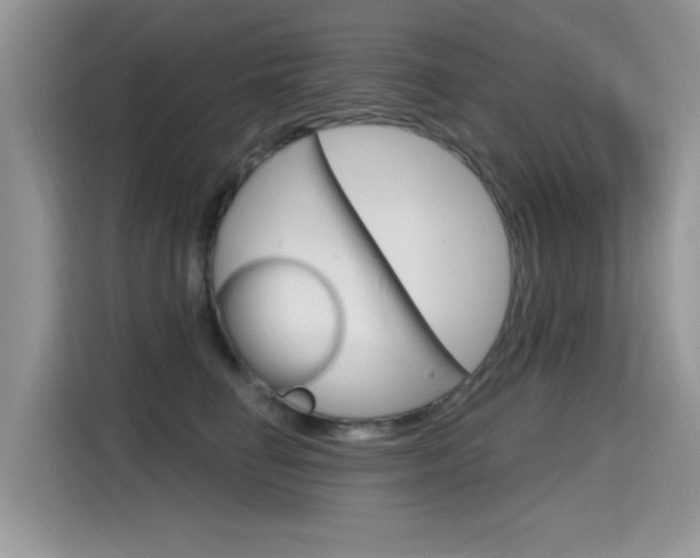 X0000115610662200911100933