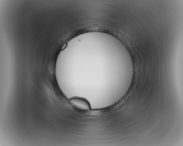 X0000115610665200911100933