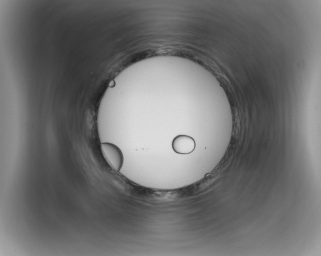 X0000115610667200911100933