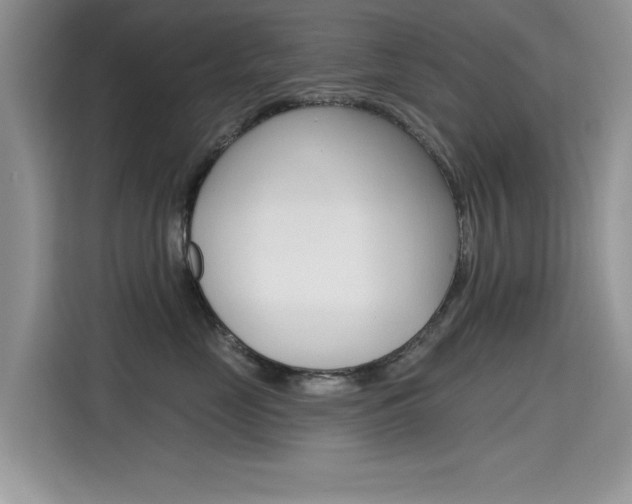 X0000115610669200911100933