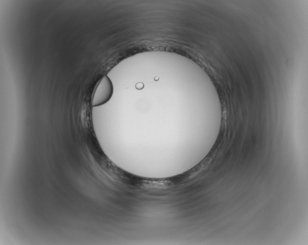 X0000115610671200911100933