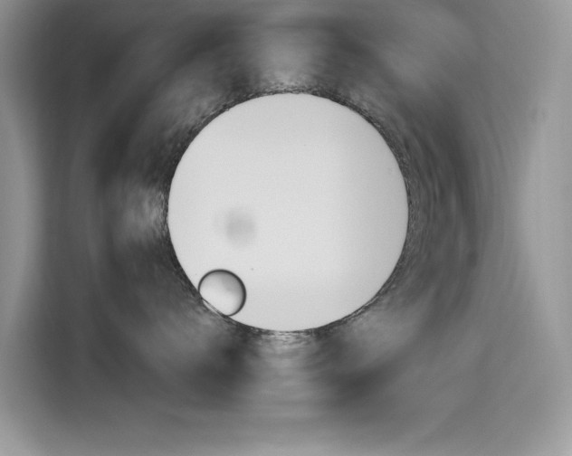 X0000115610672200911100933