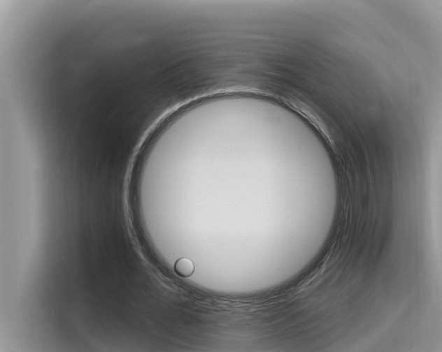 X0000115610676200911100932