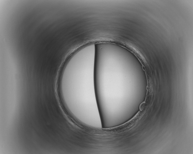 X0000115610677200911100932