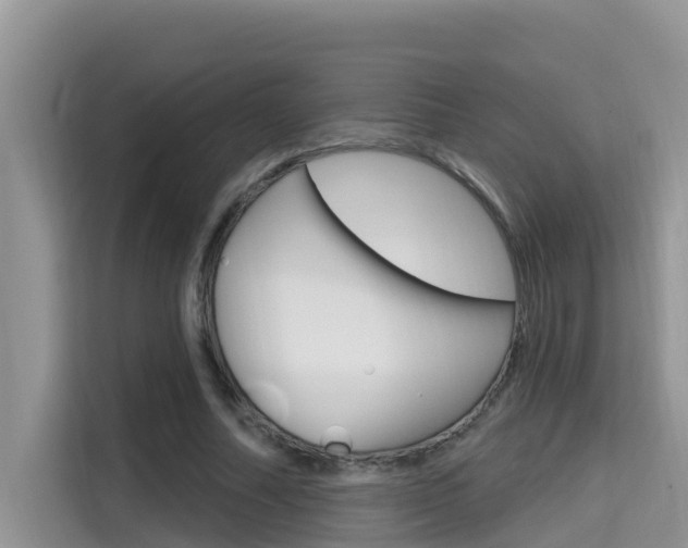 X0000115610682200911100932